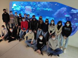 Die Klasse 10a besucht das Naturkundemuseum 
